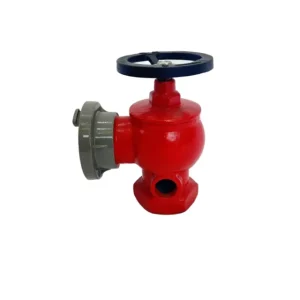 DN65 Durable Customizable Cast Iron Fire Hose Irrigation Water Hydrant Firefighting Equipment Accessory