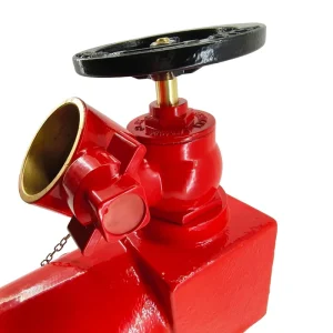 DN65 Indoor Fire Hydrant with BS336 British Standard 2.5 Inch Aluminum Alloy Copper Indoor Firefighting Equipment Accessories