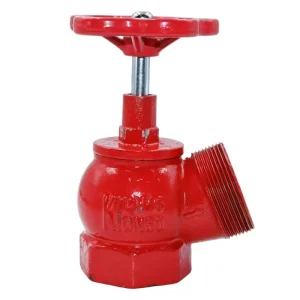 DN65 PN16 Russian Style Fire Hydrant with Fire Safety Threaded Cast Iron 125℃ Indoor Fire Hydrant