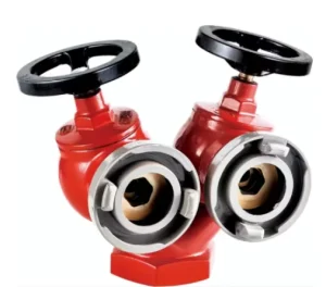 Double Valve Type Brass Indoor Fire Hydrant Valve SNS6565 South Africa Type Fire Hydrant 3 Inches