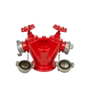 Double-valve Double-outlet Indoor Fire Hydrant Above-ground Fire Pump Connection Box-Tube Connector Low Pressure Industrial Use