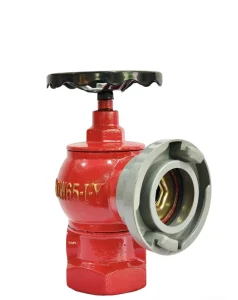 Ductile Iron DN65 High Pressure Flexible Grooved Connectivity Wall Mounted Indoor Fire Hydrant for Building