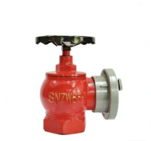 Ductile Iron DN65 High Pressure Flexible Grooved Indoor Fire Hydrant Head Valve SN65 65mm Wall Mounted Commercial Use 1.6 MPa
