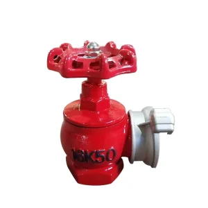 Ductile Iron Fire Hydrant Valve for Vietnam Russia