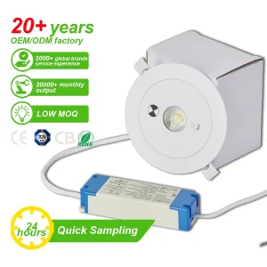 Emergency Ceiling Lights LED Surface Mounted Round Emergency Light