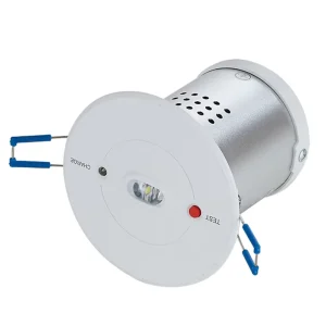 Emergency Down Light Factory Customized Recessed Mounted Emergency Down Light Home Corridor 3W Emergency Down Light