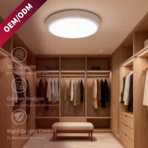 Emergency LED Bulkhead Light 3 CCT Adjustable IP54 Waterproof Fire Resistant Emergency Tri-proof Ceiling Light