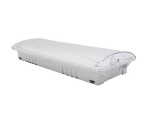 Emergency Waterproof IP65 Surface and Recessed Maintained AC110-240V ABS Rechargeable Battery Emergency LED Bulkhead Light
