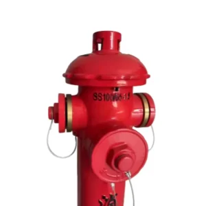 Ex factory Price DN100 65 1.6 Ordinary Above Ground Outdoor Fire Hydrant Fire Fighting Equipment and Accessories