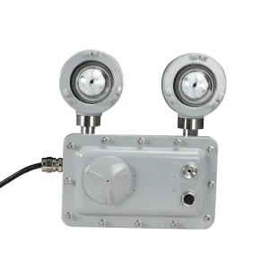 Explosion Proof Double Head Emergency Exit Light 2*6W LED Emergency Light
