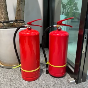 Factory Direct Carl MFZ ABC5 6kg Red Dry Powder Category a Industrial Grade Fire Extinguisher Steel Construction Pressure Gauge