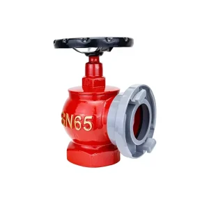 Factory Direct Supply Indoor Fire Hydrant Rotary Bolt SNZJ 65 Decompression Regulator SNW65 Reel Bolt SN65 Flexible