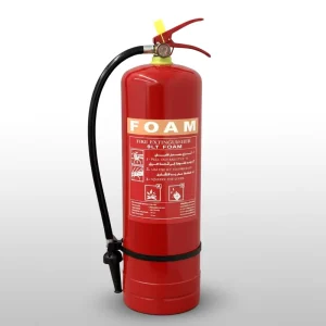 Factory Pirce AFFF Fire Suppression CE ISO Foam Portable Fire Extinguishers for BC Fire Fighting