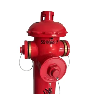 Factory Price SS100 65 1.6 Ordinary Above Ground Outdoor Fire Hydrant Firefighting Equipment & Accessory