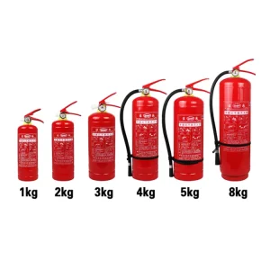 Factory Sale 1Kg ABC Fire Extinguisher Car Used 1 KG Dry Powder Fire Extinguisher