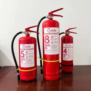 Factory Supply Portable ABC Dry Powder Fire Extinguisher for Emergency Protection