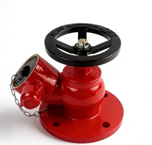 Fire Entrance Ductile Iron DN65 Column Fire Hydrant Indoor Fire Hydrant