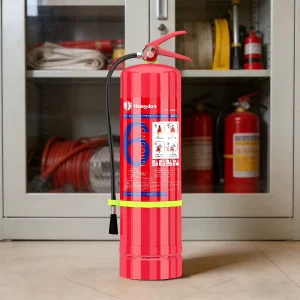 Fire Extinguisher CE 40% ABC Chemical Dry Powder Type DCP 6kg