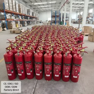 Fire Extinguisher Dry Powder Fire Fighting Equipment Manufacturer Oem Odm Factory for Home Kitchen Office
