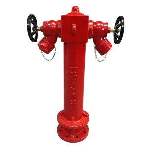 Fire Fighting Equipment 4inch Double Outlet Outdoor Wet Type 2 Way Pillar Fire Hydrant