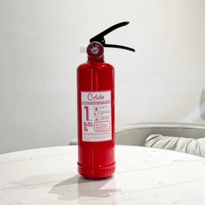 Fire Fighting Supplies 1kg Fire Extinguisher ABC Dry Powder Fire Extinguisher Manufacturer Sales