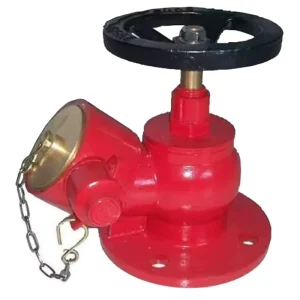 Fire Hydrant Landing Valve Flanged/Male Landing Stop Valve Red Brass Chromed Iron Firefighting Equipment Accessory