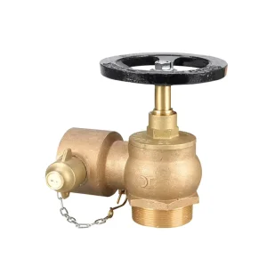 Fire Hydrant Landing Water Valve Firefighting Equipment & Accessory Made in China