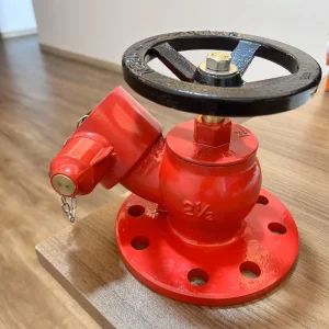 Fire Hydrant System Single Valve Indoor Hydrants Firing System 2.5inch Landing Valve Cast Iron Indoor Fire Hydrant