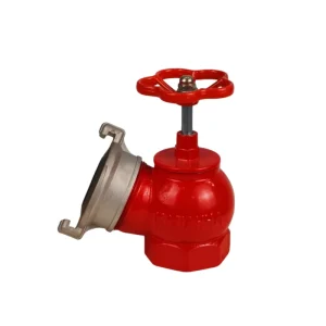 Fire Hydrant fire Angle Valve Russian Type Connector Dn50 dn65