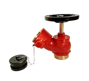 Firefighting 2.5 inch Brass Threaded Diagonal Flange Check Valve Fire Hydrant Valve Indoor 45 Degree Flange Fire Hydrant
