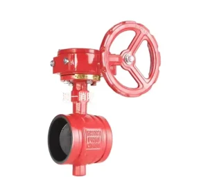 Flexible Firefighting Fire Hose Valve Cast Iron Material Manufacturer
