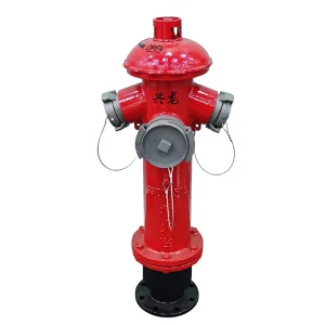 French Style 1.6MPa Outdoor Fire Hydrant Ductile Iron Firefighting Equipment Accessory