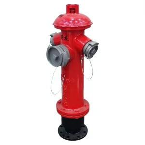 French Style 1.6MPa Outdoor Fire Hydrant Ductile Iron Firefighting Equipment Accessory DN100/65 Customizable