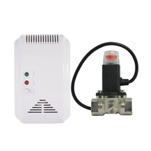 Gas Carbon Monoxide Alarm Household Natural Gas Can Be Connected to Solenoid Valve Combustible Gas Leakage Alarm