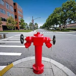Ground Hydrant for Firefighting Equipment Accessories Pillar Fire Hydrant