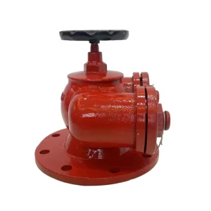 Heavy Duty Durable DN65 Cast Iron Fire Hydrant Customizable for Firefighting Irrigation
