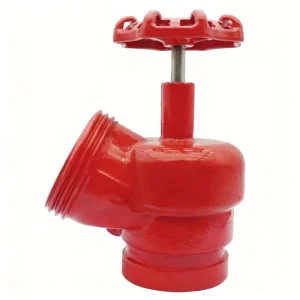 Heguang Brazil 45° Pn16 Fire Angle Valve 2.5 Inch Globe Angular Angle Valve for Fire Hydrant