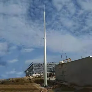 High Quality Active Lightning Arrester Building Lightning Arrester Lightning Rods