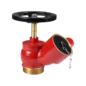 High Quality Fire Fighting Equipment 2.5 Inch BS336 Oblique Type Fire Hydrant Fire Landing Valve