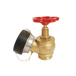 Fire Water Hydrant Landing Valve Bronze BSP Male Thread Storz Coupling Hose Valve