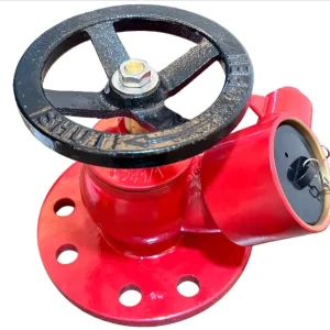 High Quality and Advanced Fanged Indoor Fire Hydrant Equipment Fire Hydrant Price Indoor Fire Hydrant