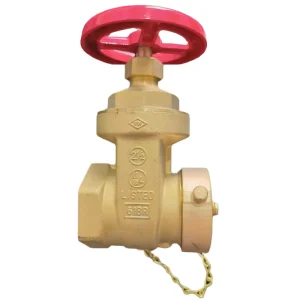 Hose Gate Valve 2 1/2 With Cap and Chain Cast Iron Landing Valve Manufacturers Indoor Fire Hydrant (Landing Dry Riser Deck)