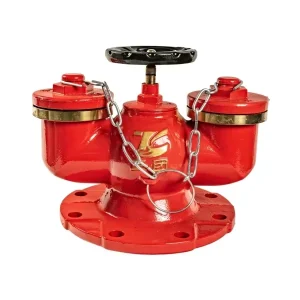 Hose Reel Pump Total Head 65 Meters Indoor Fire Hydrant Pump Fire Fighting Sprinklers Indoor Fire Hydrant Type Fire Hydrant