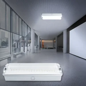 IP65 Waterproof Rechargeable Plastic 5W LED Emergency Bulkhead Light 3 Year Warranty CE Certified 3H Emergency Duration