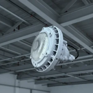 IP66 Protection Rating High Brightness LED Explosion Proof Emergency Light for Gas Station