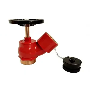 Indoor Fire Brass BS Water Inlet Landing Valve Fire Valve Landing Valve