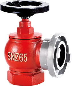 Indoor Fire Hydrant Bolt Pillar Chain DN65 Ductile Cast Iron Body Material