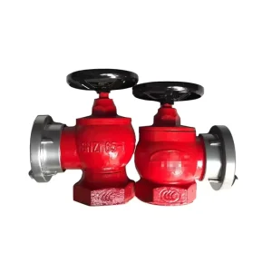Indoor Fire Hydrant with Double-Valve and Double-Outlet Above-Ground Tube Connector for Fire Pump Connection Box