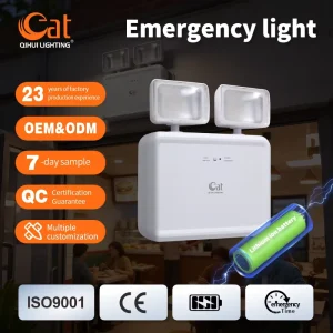 Indoor High Brightness AC 85-265V Durable ABS Emergency Exit Light Rectangle Twins Head Emergency LED Lamp