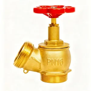 Indoor Pressure Valve Resistance Fire Hydrant Landing Valve